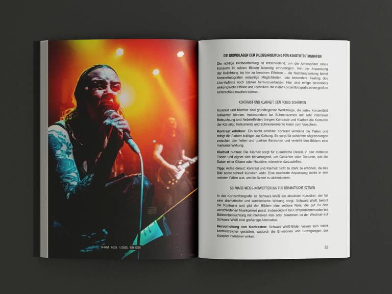 Konzertfotografie Ratgeber Tipps und Tricks „Zwischen Kunst & Chaos“ 
